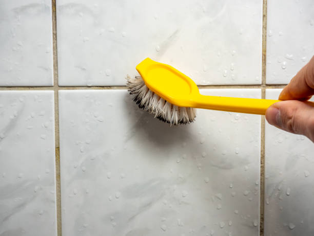  Pittsburg, KS Mold Removal Pros