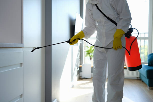 Best Residential Mold Removal  in Pittsburg, KS
