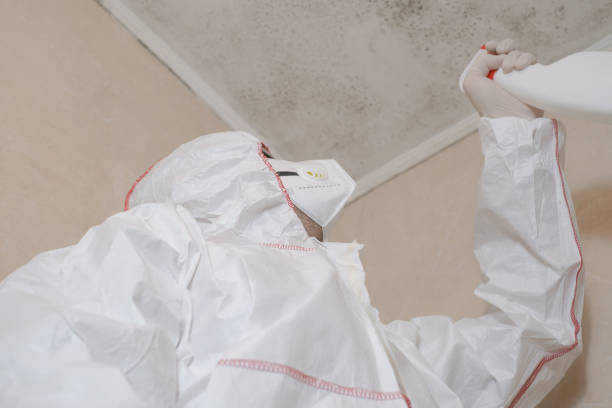 Best Crawl Space Mold Removal  in Pittsburg, KS